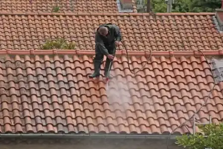 Nettoyage et démoussage de toiture à Queyrac à Queyrac
